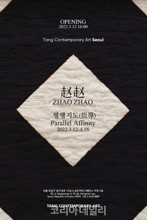 자오자오(Zhao Zhao)의 개인전 ‘평행지도(指導)’포스터 (사진=탕 컨템포러리 아트)