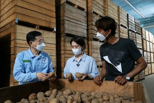 농심의 청년수미 프로젝트에 참여한 청년 농부가 농심 아산공장 감자저장고를 견학 중이다. (왼쪽부터) 농심 아산공장 품질관리팀 권택상 책임, 청년농부 김수진, 멘토 더어울림 김의종 대표 / 사진=농심