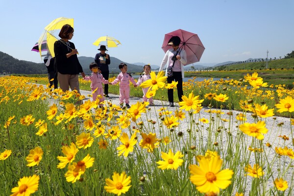 부산면 꽃길 걷기 프로그램/사진