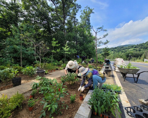 사진=‘사회적 약자 가드닝’ 참여자들이 정원에 식물을 심고 있다/ 중부대학교 제공